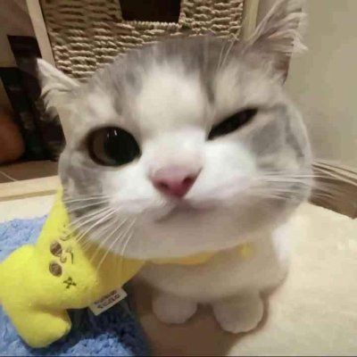 thuclee_wiz's profile picture. 