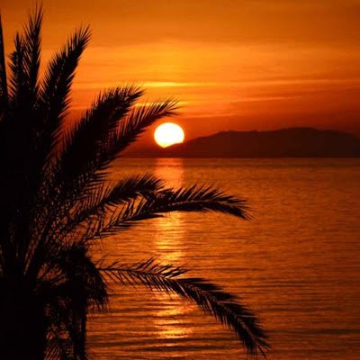 yogitashukla638's profile picture. 