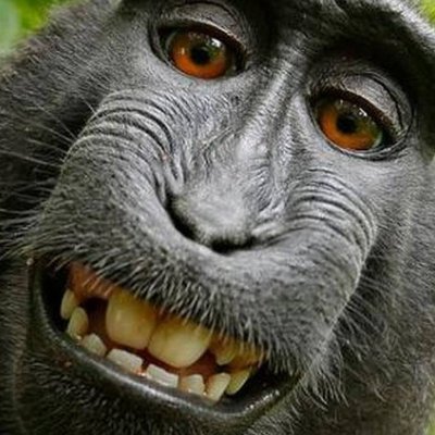 RW_oet_E's profile picture. 