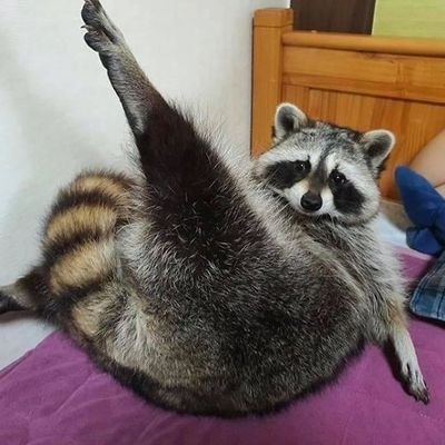 pambazodemole07's profile picture. 