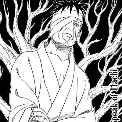 Shimura 🇩🇿 Profile