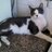 Nataly_AZ's profile image