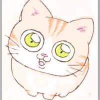 くう🐉 (@inu11kt) 's Twitter Profile Photo くう🐉 (@inu11kt) 's Twitter Profile Photo