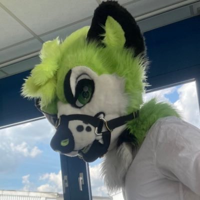 bisexual Yeens Dogs and Sneps. ✨ MDNI. hit me up if you wanna talk DMS OPEN 🐾