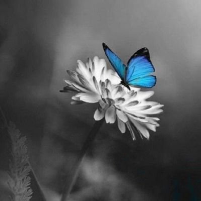 jody64174's profile picture. 