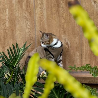 Nnpytd16's profile picture. 