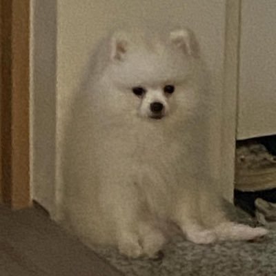 wuweiblue's profile picture. 