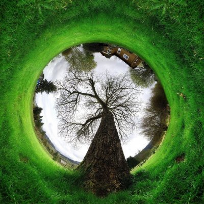 EcoIdeasGreen's profile picture. 