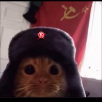 offener Zw3ifel (@gezw3ifelt) 's Twitter Profile