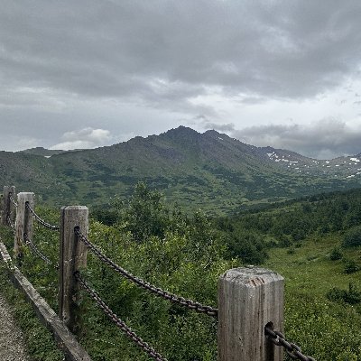 aMichaelDev's profile picture. Frontend Developer