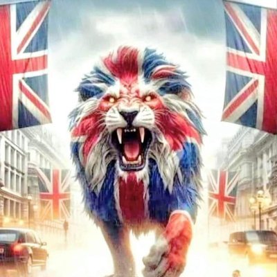 hiligun's profile picture. British and proud,anti wef,anti woke,