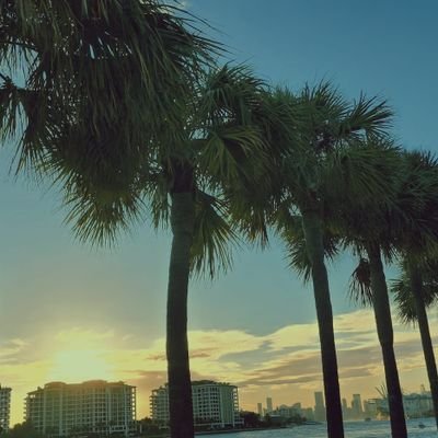 305Logic's profile picture. Always take the scenic route