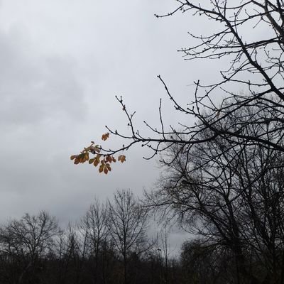 croco_1dile's profile picture. she/her
23yo
