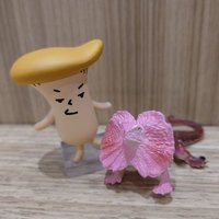 えりんぎとかげ🦎 (@_eritokage0426_) Twitter profile photo
