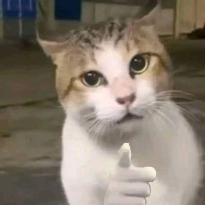 Shivamj47506852's profile picture. proud 🇮🇳