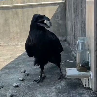 keeran_2023's profile picture. 🔥💥