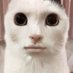 ลัทธิเหมียว (@yujimeow_karomi) Twitter profile photo