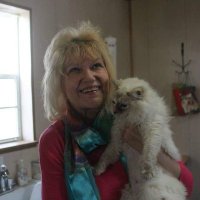 Mom of angels🇺🇸🎸🐱🐶🌺 (@nanette05241977) 's Twitter Profile