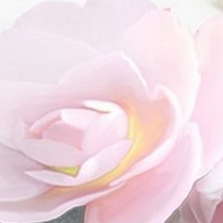 MKoumpari18661's profile picture. 