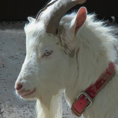 yamano_yagi's profile picture. 羊じゃよ　写真と大喜利とゲーム