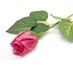 Zeynep Demirer (@demirerzey67346) Twitter profile photo Zeynep Demirer (@demirerzey67346) Twitter profile photo