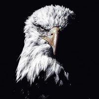 burak (@burak_4314) 's Twitter Profile