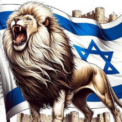 marcellomeirel1's profile picture. 