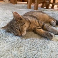 Jonte (@jonteaaaaaaa) 's Twitter Profile Photo