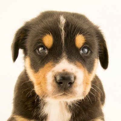 JT77Blah's profile picture. I do things