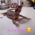 pogothebeardeddragon (@pogothebeardie) Twitter profile photo pogothebeardeddragon (@pogothebeardie) Twitter profile photo