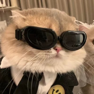 วนิต(ย้ายแอค)さんのプロフィール画像