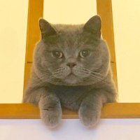 きたの (@vlvj4xsibhigeme) 's Twitter Profile Photo きたの (@vlvj4xsibhigeme) 's Twitter Profile Photo