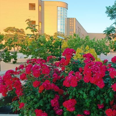 زندگی راستین شما زمانی است که کاری برای کسی انجام دهید.