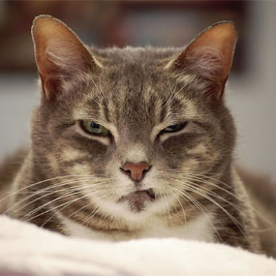 tan_panama007's profile picture. 