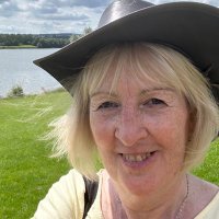 Liz Whitmore (@lizziewhit) 's Twitter Profile