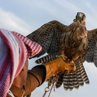 مكتب الانجاز السريع 🇸🇦 (@2kk3jh) Twitter profile photo