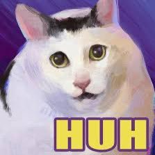 NUser55635547's profile picture. 