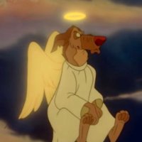 Dumb Dog (@1800getmauled) 's Twitter Profile