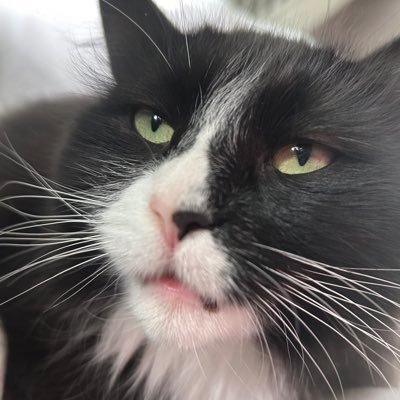 wrightjd3's profile picture. 