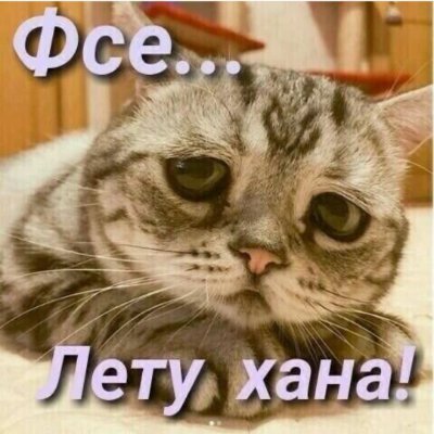 rnbhjuhgtghj's profile picture. 