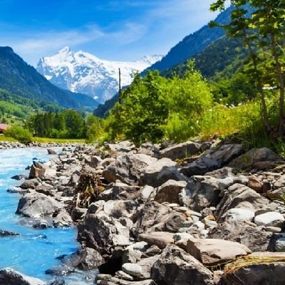 ZAlhnyn57770's profile picture. 