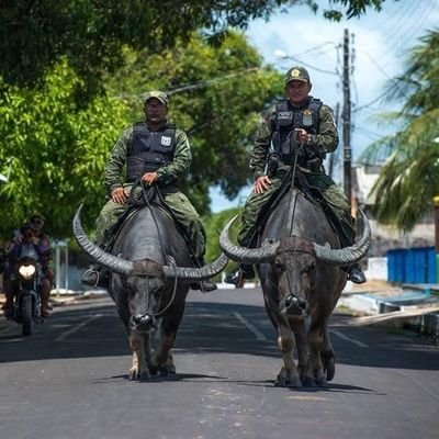 Alexand01734131's profile picture. 