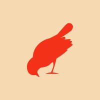 Bird On The Wire (@botwevents) 's Twitter Profile Photo Bird On The Wire (@botwevents) 's Twitter Profile Photo