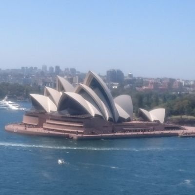 jun00740's profile picture. Rain Tree と 仲俣美希(マリオ)ちゃんを応援しています！