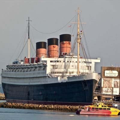 GlaswegianOwl's profile picture. 