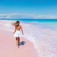 PinkBeachGirl🩷👙 (@pinkbeachgirl1) 's Twitter Profile Photo