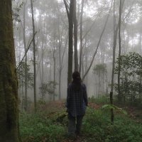 Karen Osorio Navia (@femaledeus) 's Twitter Profile