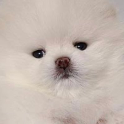 jagpjmpt's profile picture. 