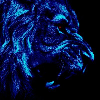 ernestogonz899's profile picture. 