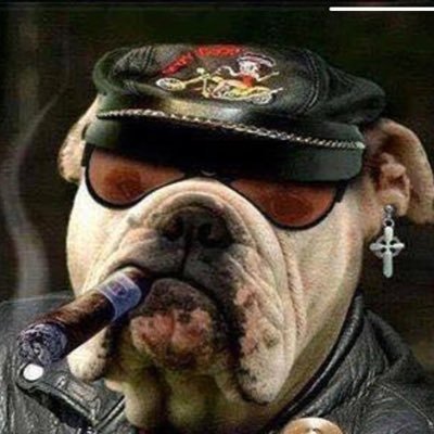 Dave21895's profile picture. 